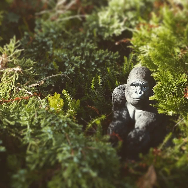 Don’t call him Satan