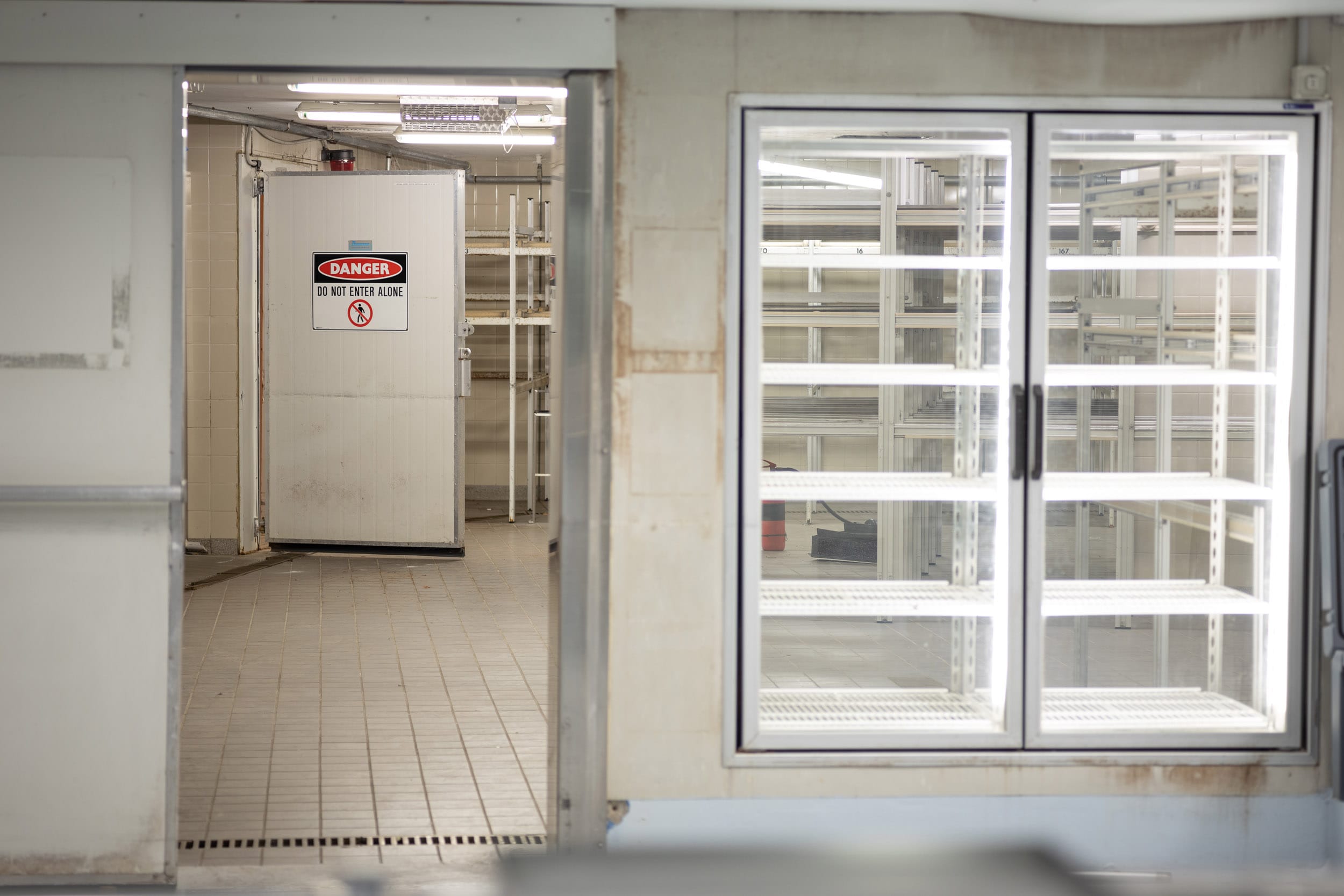 In the morgue with my daughter, Zuzu