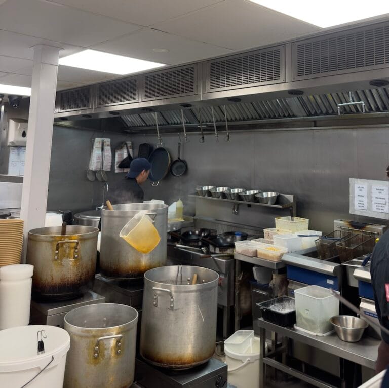 Inside a pro kitchen a single chef cooks hard.