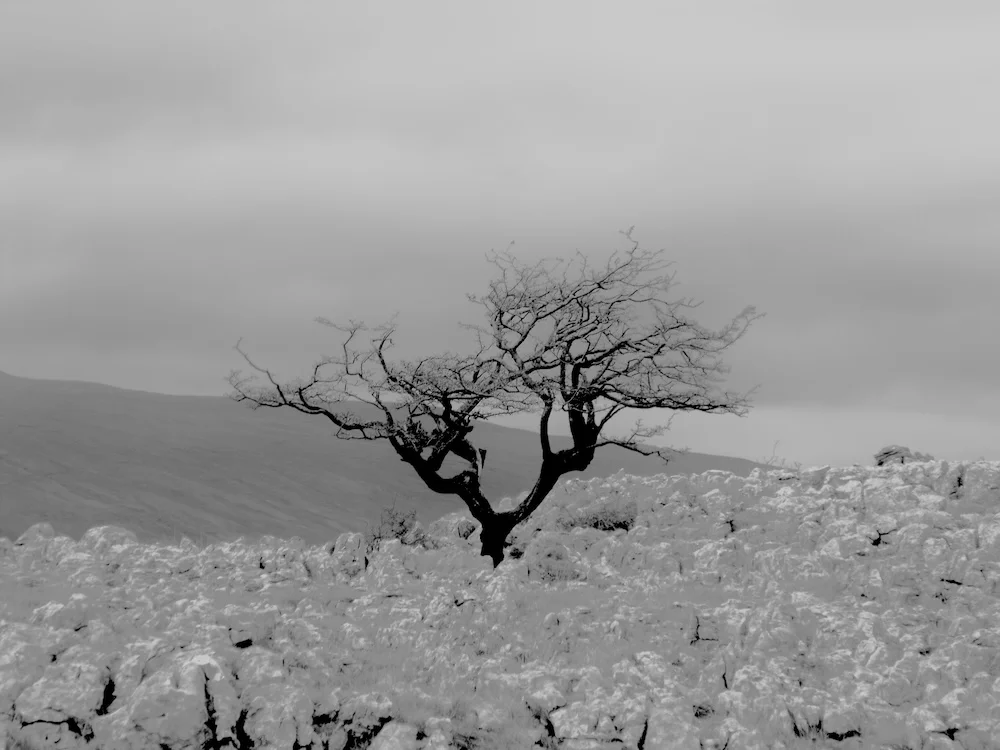 You All Know Who You Are!