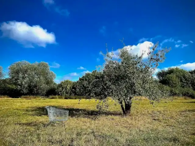 He thought He Was Christ