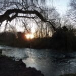 A river at sunset. A tree overhangs the water. A noose hangs from the tree.